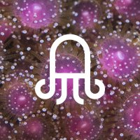 Marinarium (@sbm_concarneau) 's Twitter Profile