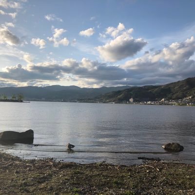 ZOZOYUU1's profile picture. 声には自信あり。普段は社会人！