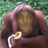 aN3iLo's profile image