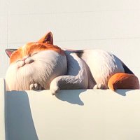 ねこ (@mochiguardian0) 's Twitter Profile