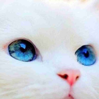 はるるさんのプロフィール画像