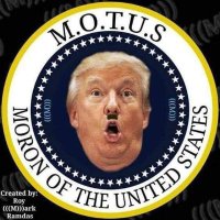 Don the Con Is a Dumb Ass ๐ ๐บ๐ฆ๐โฎ๏ธ๐ฆ (@howard230) 's Twitter Profile