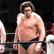 sana_koyakoudo's profile picture. ちんこなめろ