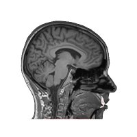 Hannah Bohle (@hannahbohle) 's Twitter Profile Photo