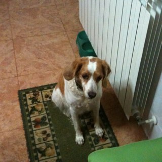 marxal1928's profile picture. Me encanta el futbol, l'humor, gamer des de xicotet, i la cosa més important: gaudir, membre de la Crew de Dreamhack