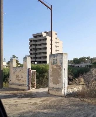 Michali40926476's profile picture. Lawyer 1976