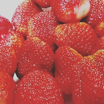 1rtPitftTDVysOo's profile picture. 