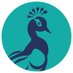 Peacock Digital Marketing 🦚 (@DigitalPeacock) Twitter profile photo