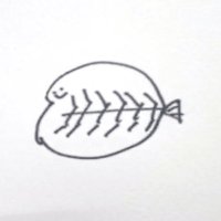 まつこ／星星 (@setokakehashi) 's Twitter Profile