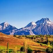 petescurling's profile picture. 