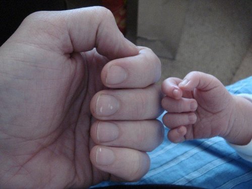 denofalltrades's profile picture. TA and PGCEi student