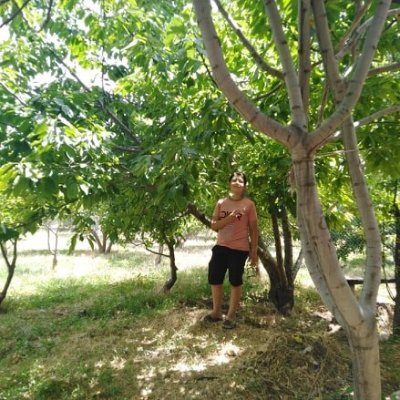 mouffok49731720's profile picture. kingmess