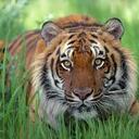 Dave Douglass - @davevbc - Twitter