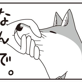 hpZRB1KwCwLw1rz's profile picture. gayです。割とROMです。
基本フォロパしないのでご了承を。
SPAM＆鍵垢のフォローはブロックします。ネトウヨと得体のしれないアカウントもそっと外しております。ご縁がなかったということで。
基本ブロックなんかしてあげないミュート派でしたが、Xのブロック仕様が変わったんで狂気の方はブロックする方向で。