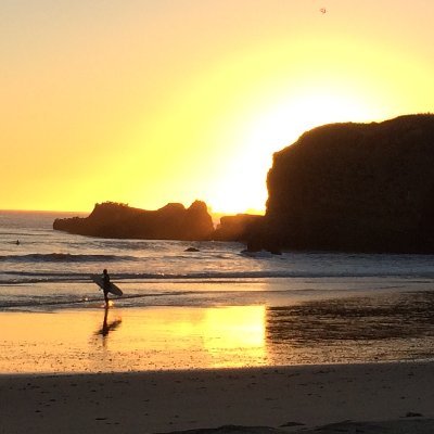 Novel about the collision of music & spirituality in the vanishing beauty of California. Yoga gurus, surf punks, Silicon Valley washouts & ascendant Natives.