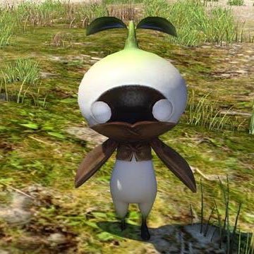 MelocotonW's profile picture. エンタメ用の桃アカウント。保護猫とメダカ飼育中。2025年夏からミニ四駆始めてみました。