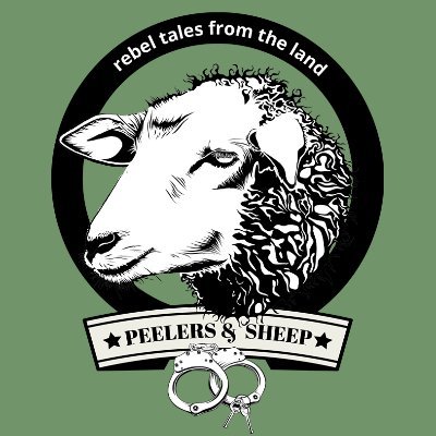 Peelers And Sheep