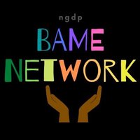 NGDP BAME Network(@NGDP_BAME) 's Twitter Profile Photo