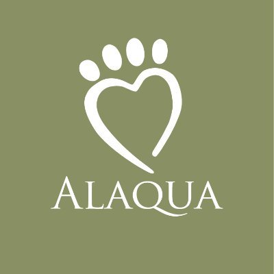 Alaqua believes that every abused, neglected and homeless animal deserves a second chance.
#Alaqua #ShelterSafetySecondChances #AdoptVolunteerDonate