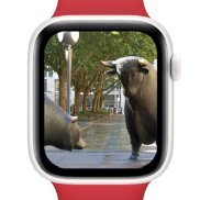 Boersentrader (@boersentrader) Twitter profile photo