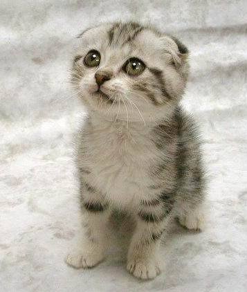 buyer444's profile picture. Art/Design Of all types are my interests. Love Marketing & Social Media. Think of life as the most wonderfull gift because it is. And i love cats.