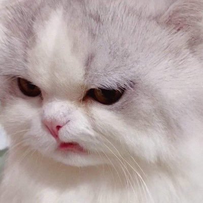 bambaiiz143's profile picture. อย่ามาจิ๊จ๊ะ