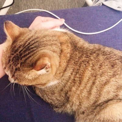 (´﹃｀)さんのプロフィール画像