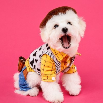 We are local mobile pet grooming in Miami, FL we do cat and dog grooming. Servicing the entire Miami-Dade county. Call now for same-day appointments