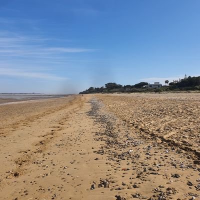 Ncatala16's profile picture. Llibertat, empoderament ciutadà, política realista // Som-hi Bàsquet Manresa!!!