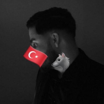 𐱅𐰼𐰇𐰰 🐺🇹🇷
