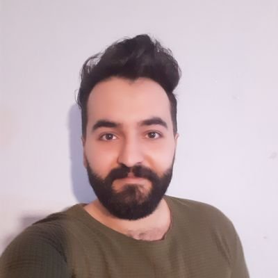 erfan motamenfar Profile