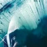 oku_silnirazem's profile picture. Gorszy sort. Anty-PiS. ***** ***