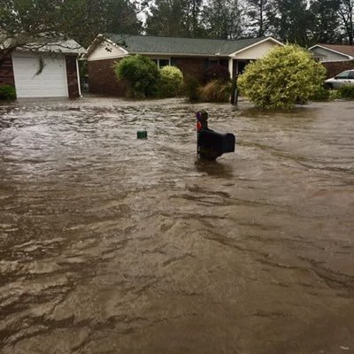 #RosewoodStrong #HigherGround #RiseOrRetreat #IFloodAndIVote #UnitedFloodedStatesOfAmerica #ClimateJustice #NoJusticeNoPeace