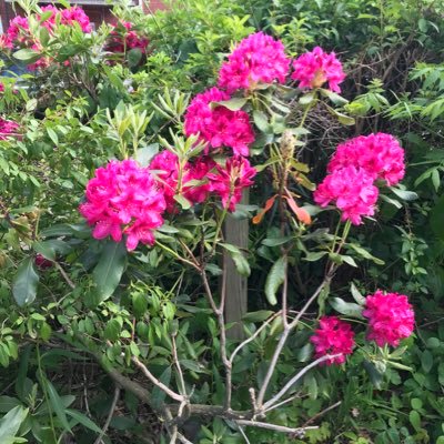 victor60937418's profile picture. Víctor