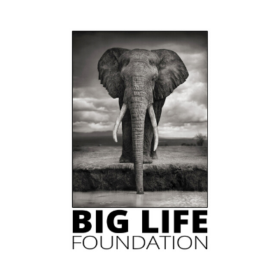 Big Life Foundation