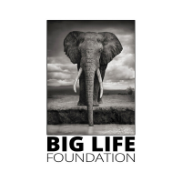 Big Life Foundation (@biglifeafrica) 's Twitter Profile Photo Big Life Foundation (@biglifeafrica) 's Twitter Profile Photo