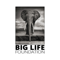 Big Life Foundation(@biglifeafrica) 's Twitter Profile Photo