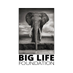 Big Life Foundation (@biglifeafrica) Twitter profile photo