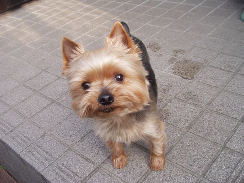 kam_koh's profile picture. 休日は、自転車乗ってます。