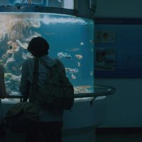 urbule (@urbule) 's Twitter Profile