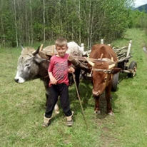 moje_od's profile picture. Ovo je profil da ljudi malo zaborave na brige,probleme

Zapratite profil bice super objava