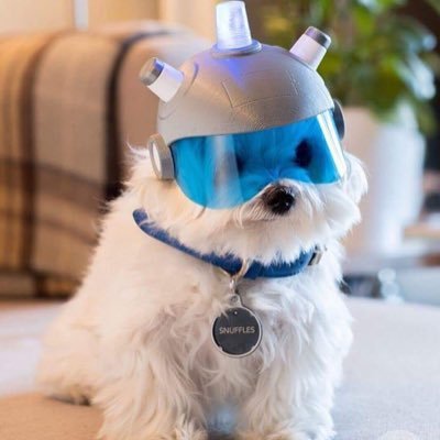 sombrero_boi's profile picture. ACAB - He/Him