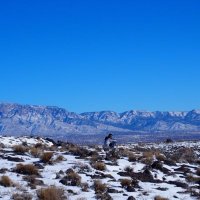 Brandon (@brandonhanert) 's Twitter Profile