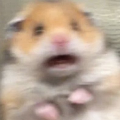 arratisja's profile picture. acc im eshte me i vdekur se dm-sat e tua