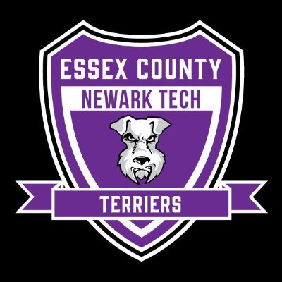 Essex County Newark Tech is a grade 9-12 Career Tech. H.S. We offer programs in Health Careers, Engineering/Robotics, Business,Auto, Welding, and Cabinetmaking.