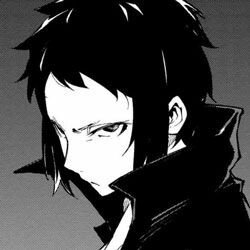 ciellands's profile picture. 