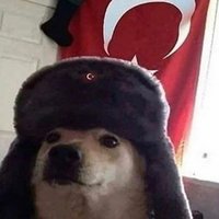 Seyithan Berkay Aktaş (@sberkaya) 's Twitter Profile