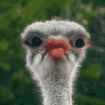 johnw05933868's profile picture. 