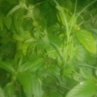 Shubham38624964's profile picture. skip for