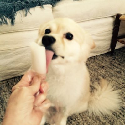 anniescoutbee's profile picture. 